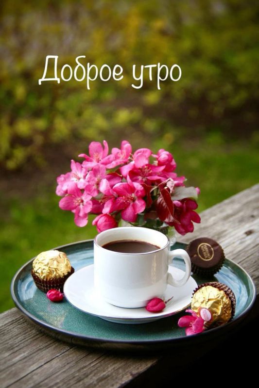 ������ ����. ������� ����� � ������� ���� ����� �����, ����� ��� � ��������� �� ���������� ����� ���. ��� �������. ����������� �� +21 ����� �� +38 ���