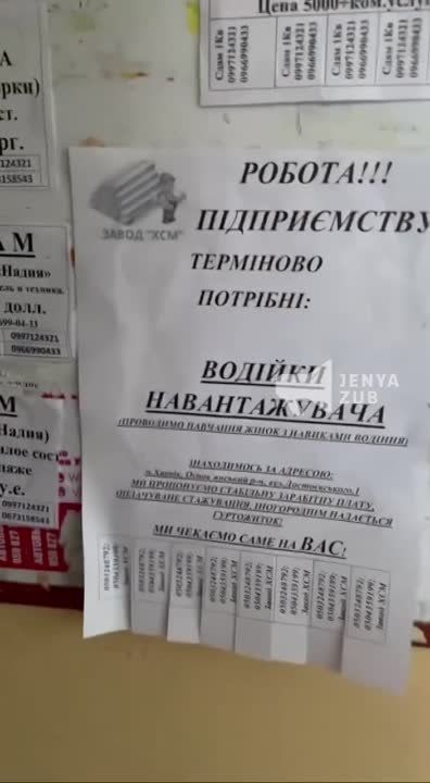 ������� � �������� �����������