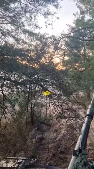 ���������� �����������