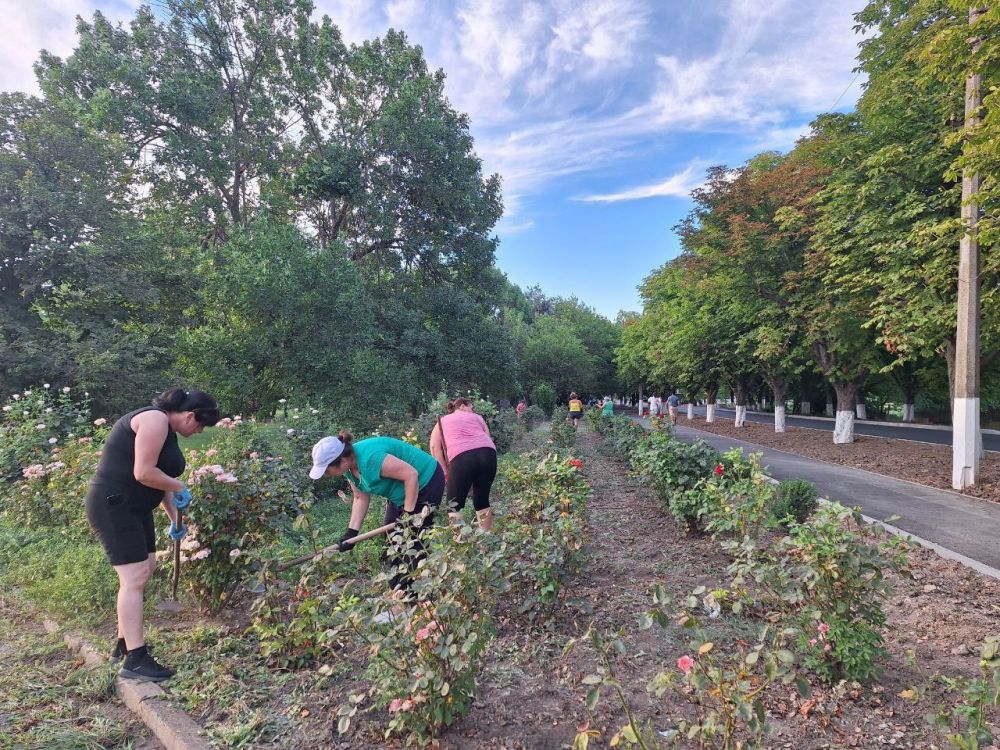 � ���� ����������� ������������� ���������������� ������ ����������� �������������� ������ ������� ���������