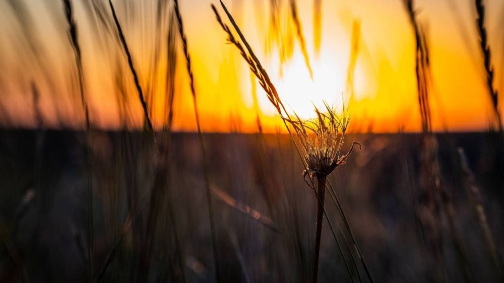 �������� ������: ���������� �������