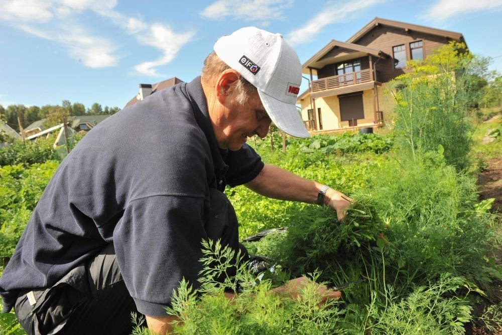 ����� ��������� � ������