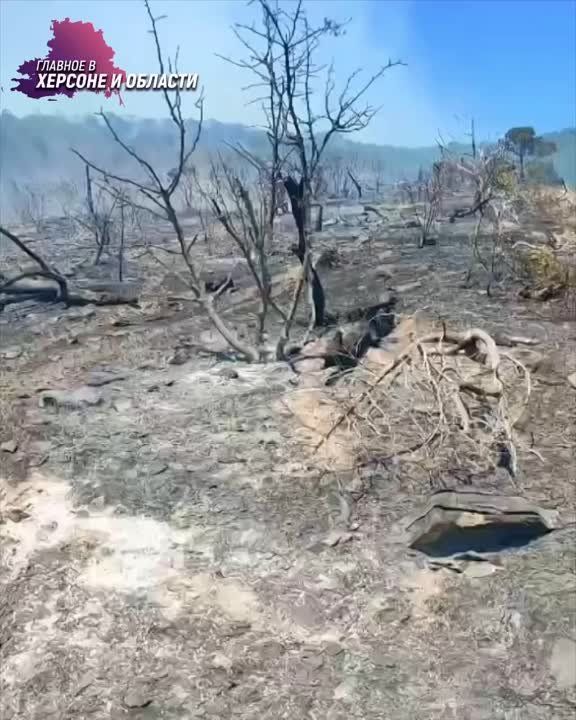 ����� � ������������� ���� ������� �� 26 ������ � ������������ ����� 130 �����, ������ ���������� �������� ����������� �� ����������