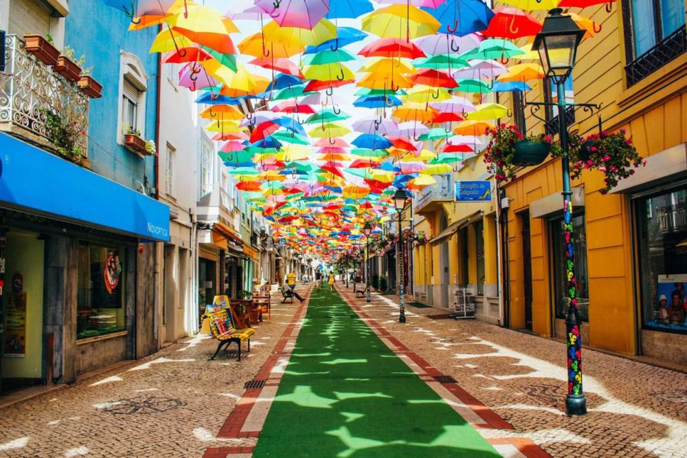 � ������������� ������ ����� ������ ���� ����������� ������ ������������ ������ ��� ������� ������