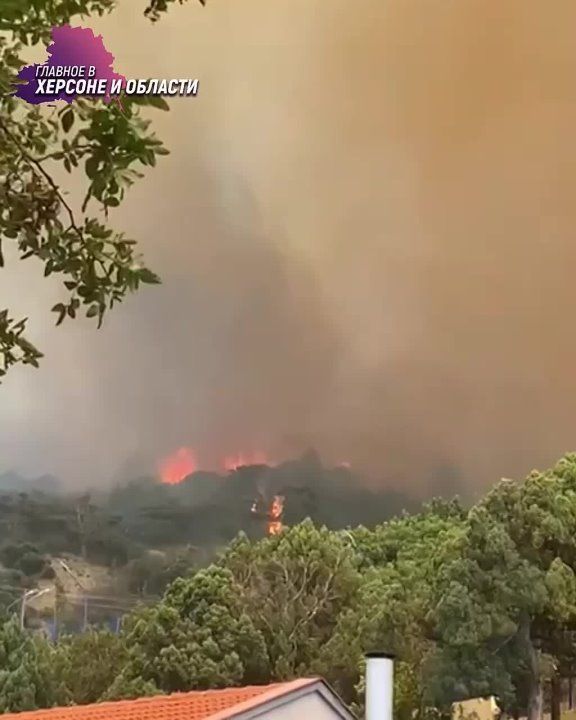 ����� ��� �������������� ����������� �� ���� ������ ������, ���������, ������� � ������� ���������� ���������� ����� ����� 51 ��