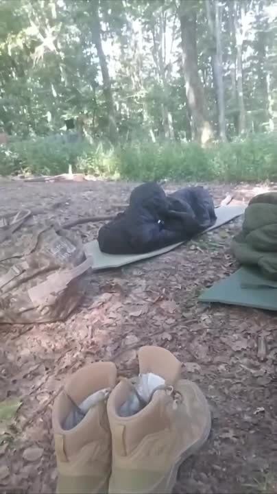 ������� ���, ����!. �� ������ �� ������� ������ ���. ����� �� �������, �� �� ��������� �� ������� ���� ����