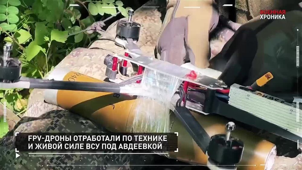 ����� �������� ��������� �� 13 ����