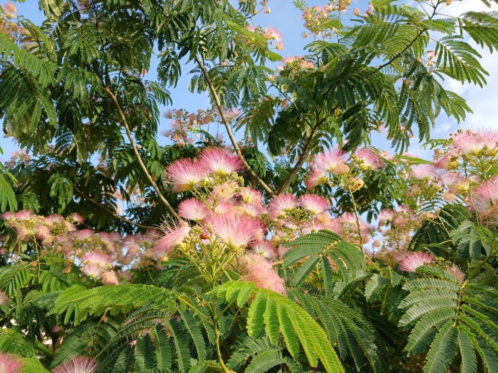 � ������ �����, �����������!