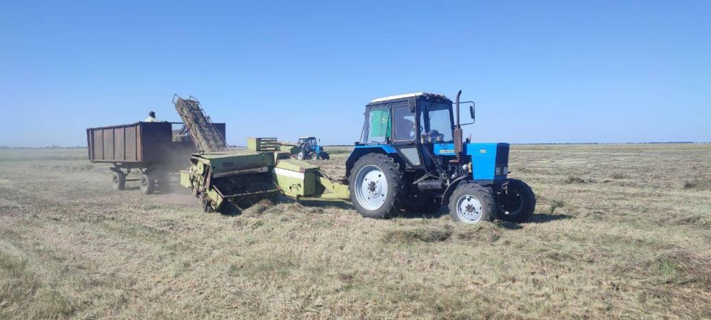 � ����������� "�������-����" ����������� ����������� ���� �� ����������� �������� ������������