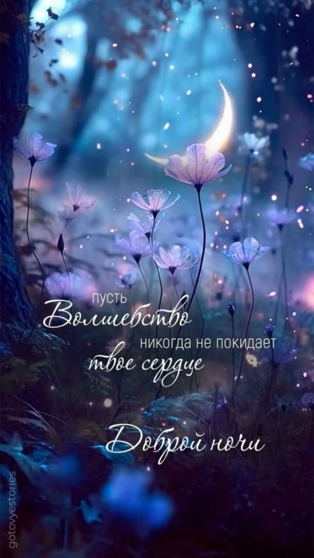 ������ ����. ������ ���� � ������� ���� � ������� ����� ����������� � ����� �� ����� ���������� � ��������� ����. ��� �������. ����������� �� +26 ����� �� +41 ���