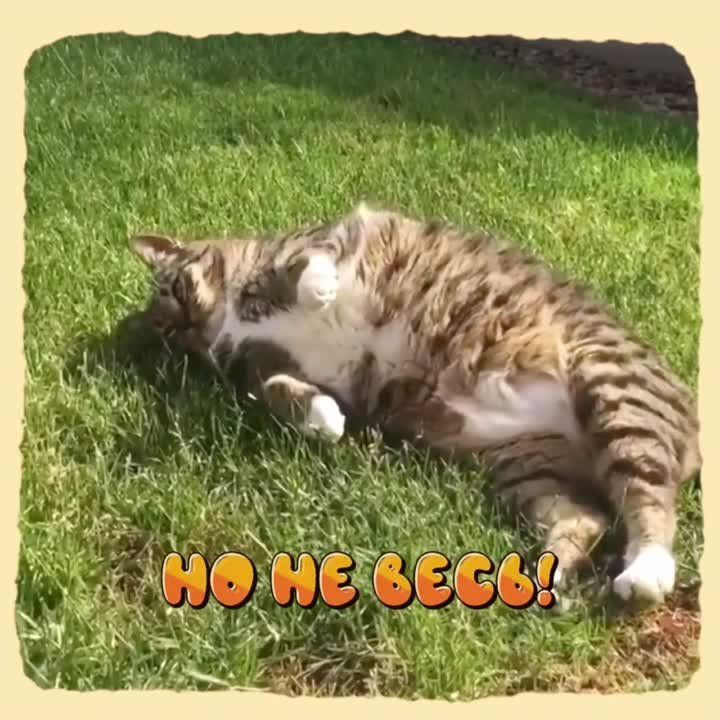 #������������