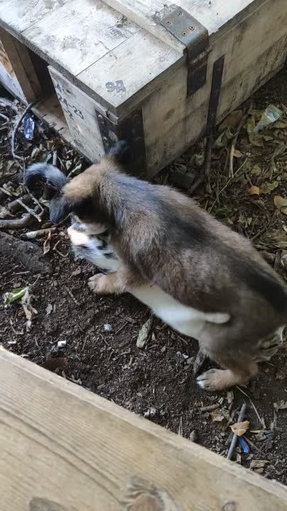 ���� �� �������: �� �������� ������������� ������������ ��������� ������!