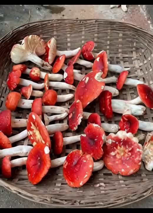 ���� �� �������, ��� ��� ��������� ��������������� �����, �� �� ����������, �� ���� ����� ���� ������������, ����� ��������� ������?!