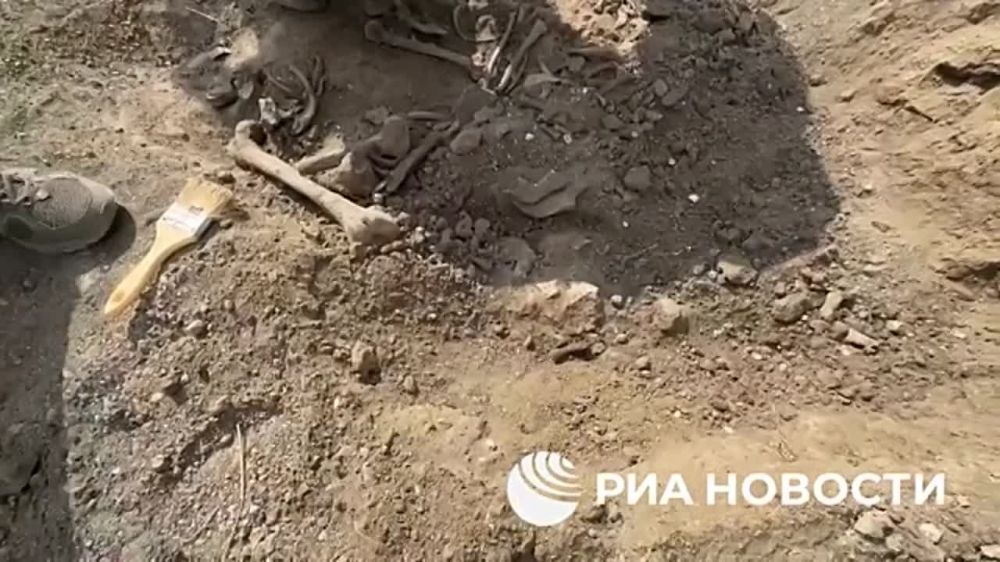 ���������� �� ���������� � ��������� ����� 30 ��� ������, ����� � ��������, ������������� �� ����� ������� �������������