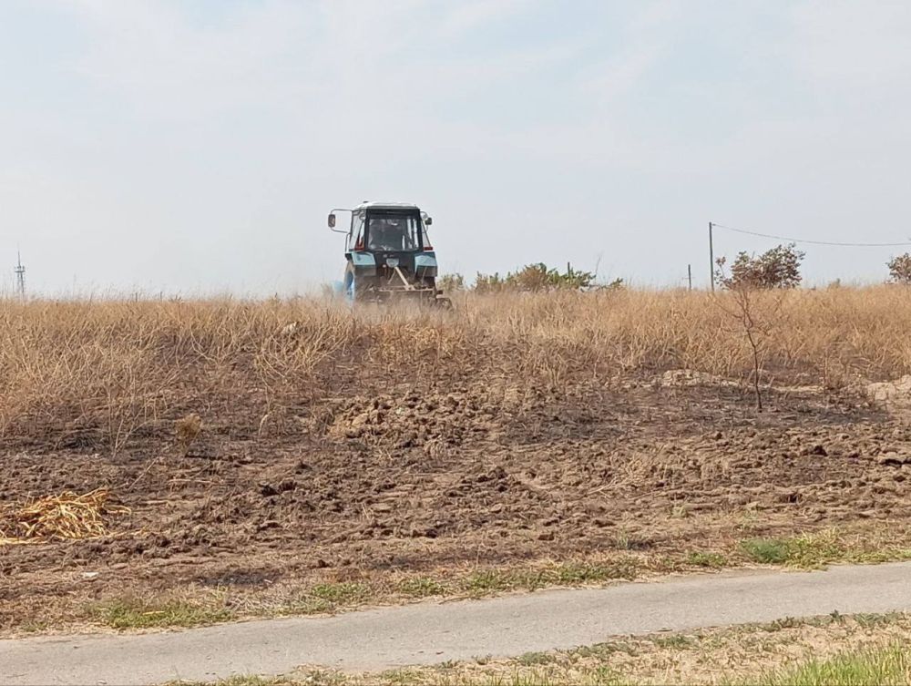 � ��������� �������� ���������������� ��������������� ������