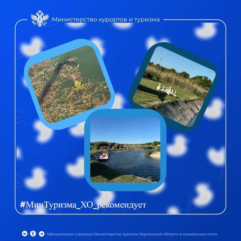 #����������_��_�����������