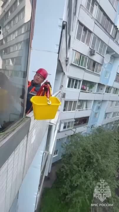 ��� ������������: ������� ������� ������ �������� �� ������ ������� �� ��������� ����