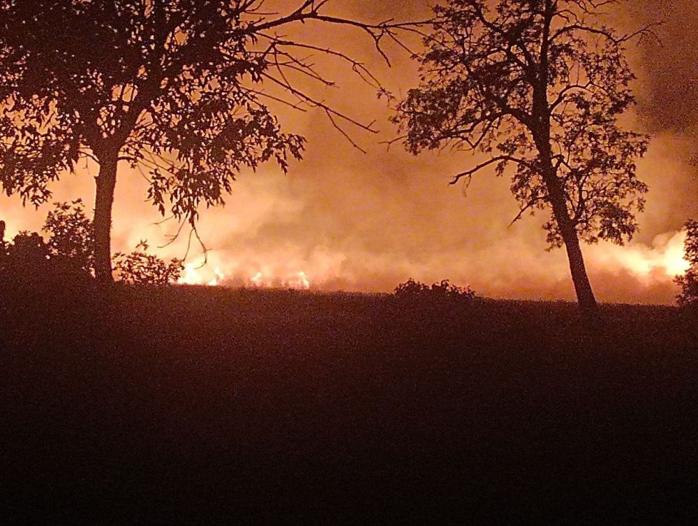 ������� � ������� ������ ������ ���� ������ �� ������