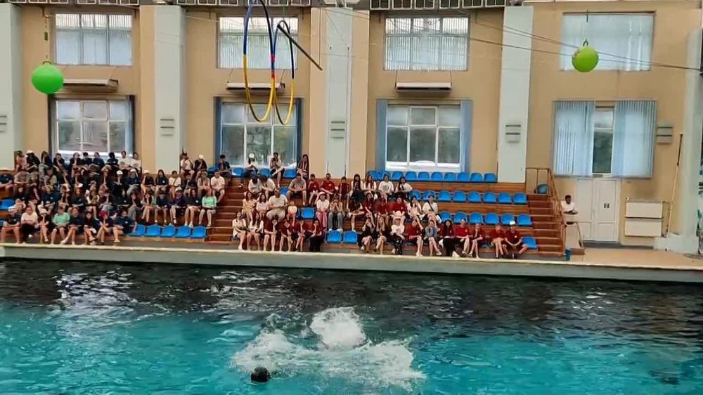 ���� ���������� ������� ����������� � ������������� ����������� � ������������ �����������