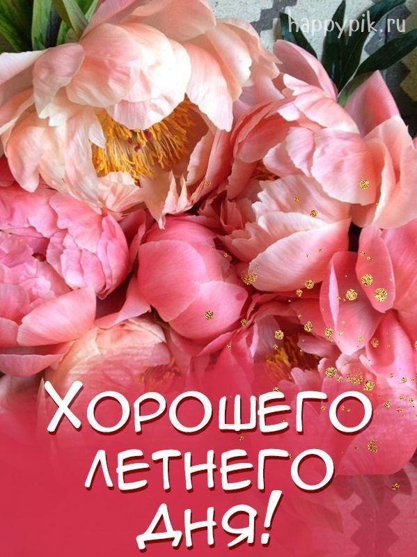 ������ ����. ������� �������� ������ ����� ��������� � ������� �� ������ ������. ��� �������. ����������� �� +24 ����� �� +39 ���