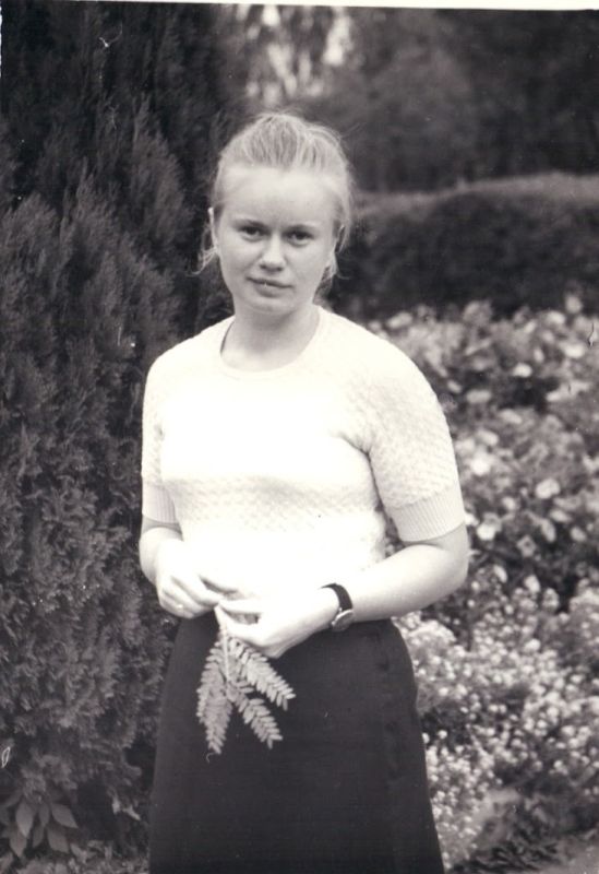 ������� ���� �������� ����