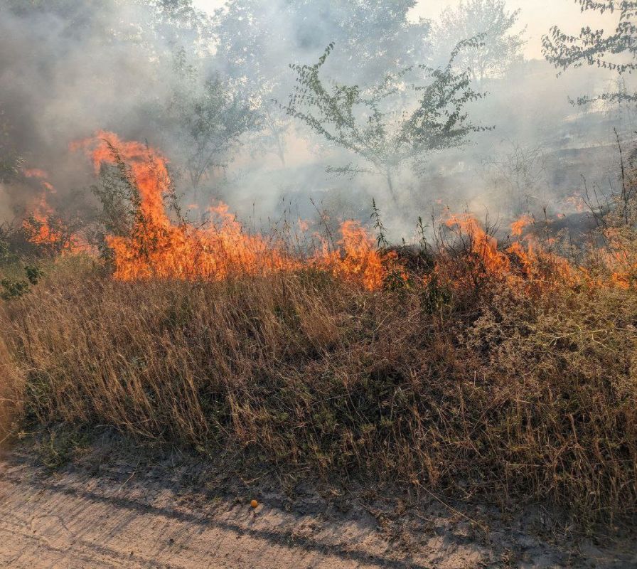 � ����� ������� ��-�� �������� ��� ������� ������ ������� � ������ ����������� "������"