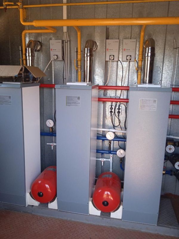 ����� �������� ������� ������ ������������� ������ �� ������ �������� 2024 ����