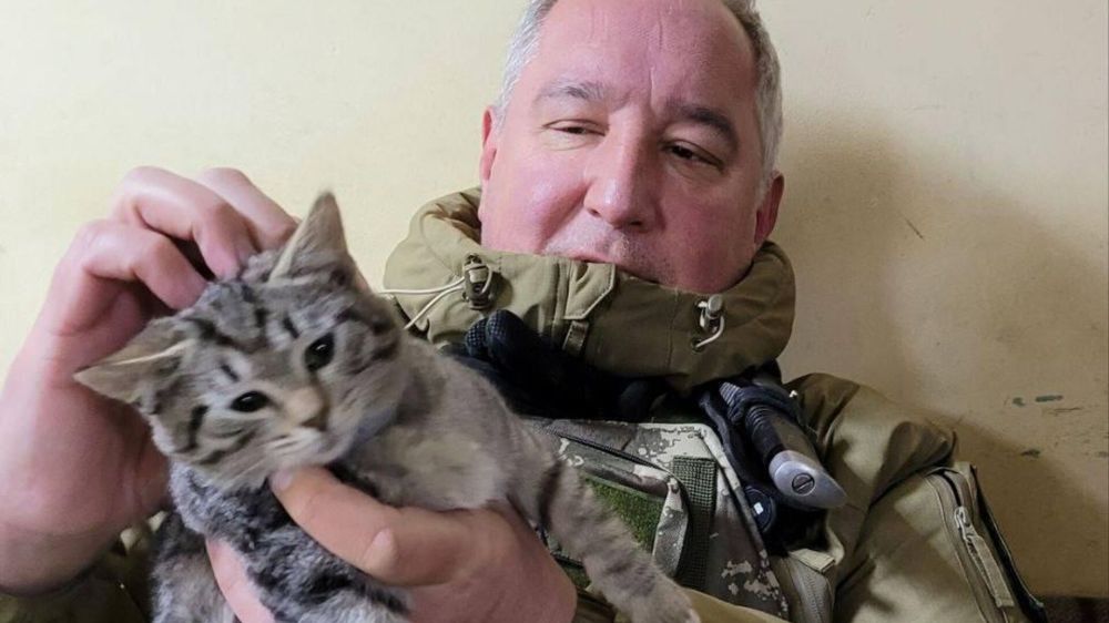 ������ �� ������ �� ��������: ������� � ���, ��� ������ ���������� �� ����������� � ���������� �������