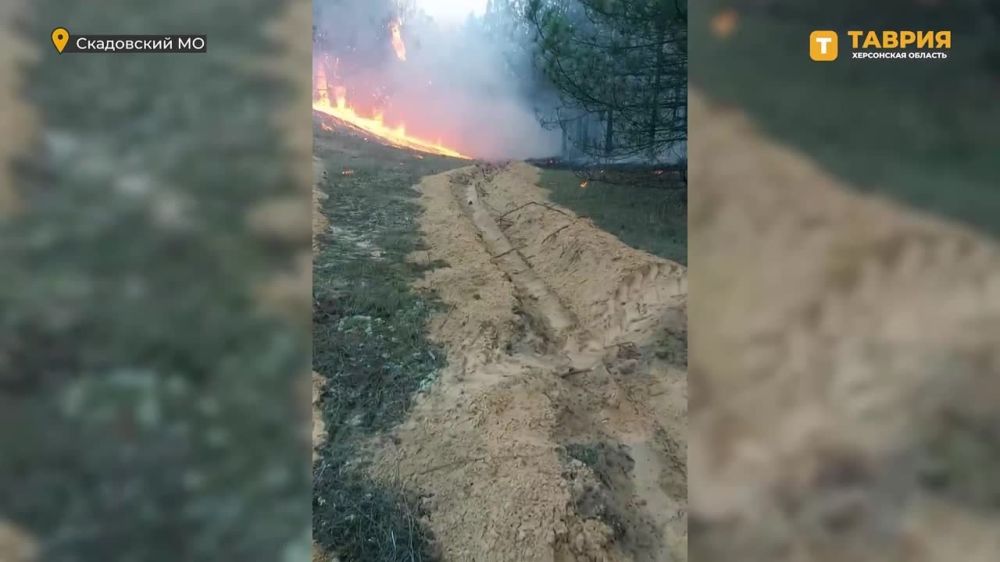 �� ���� �� ���������� ����������� ��������������� ��������� ��������� 22 ������