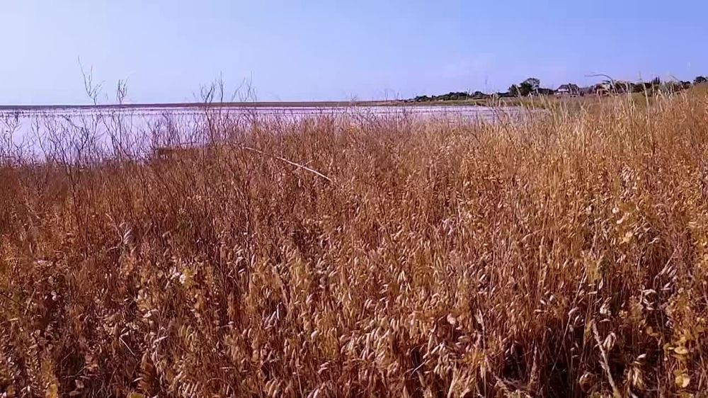 ��������� ���������� ������������� ���� ���������� � ���� ���� �����