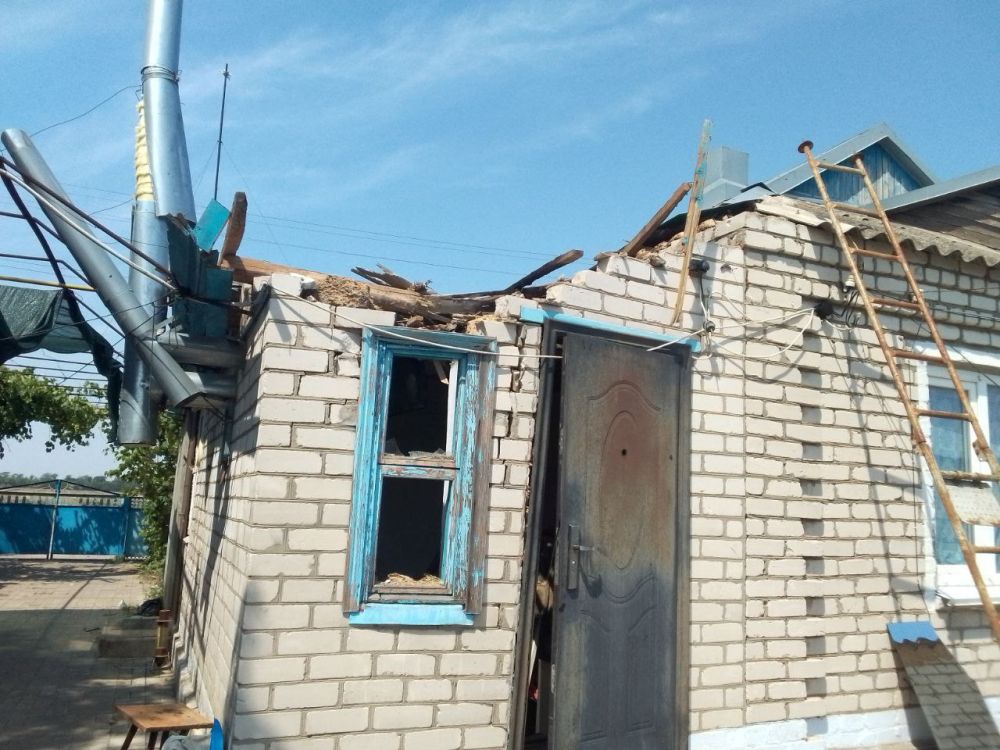 ����� ��������: ��� ��������. ���������. ���� �������� ���� ����� ���� �� ����������