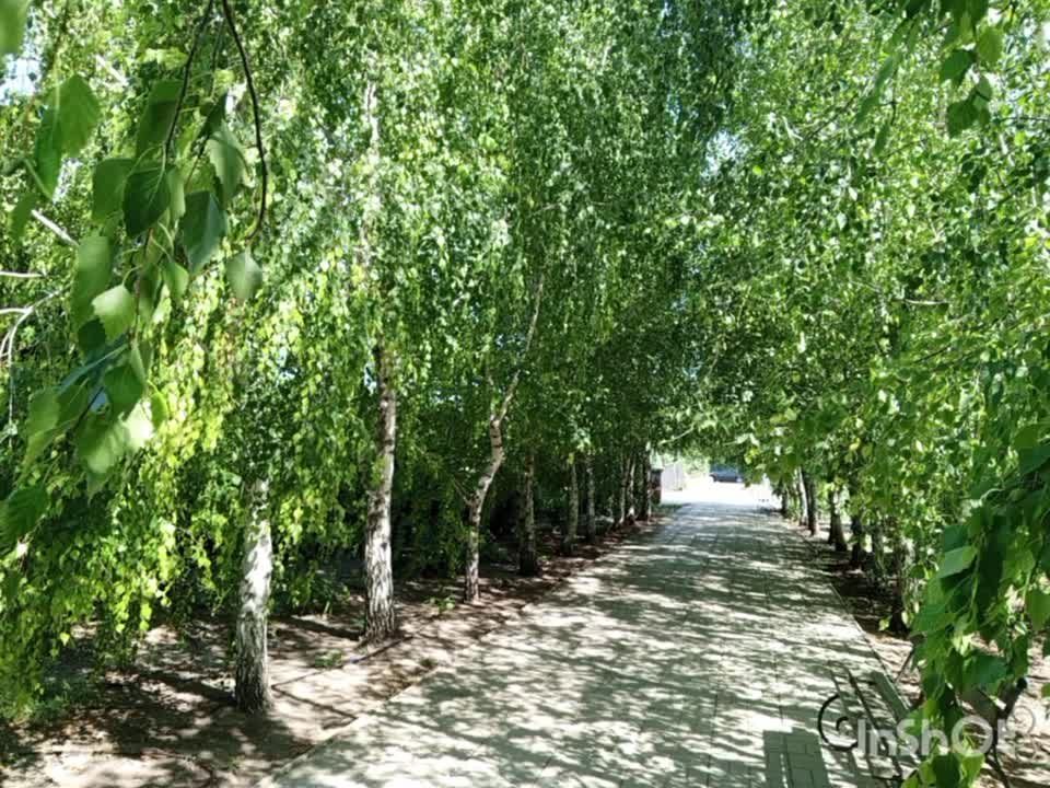 � ����������� �������� ������ ����������� �� ��� ���������