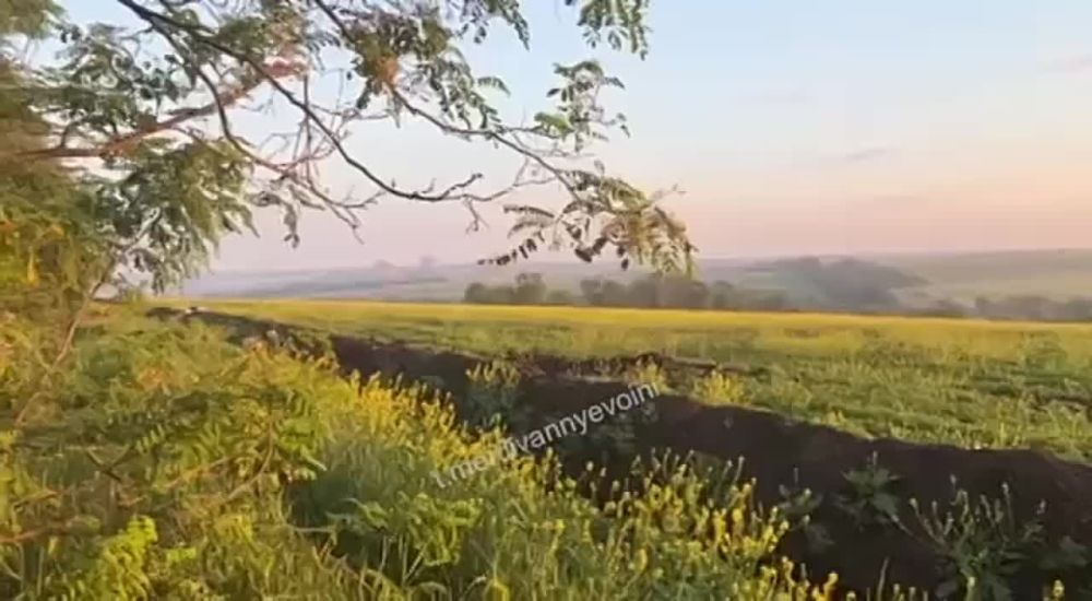 ���������� �������������� ������� ������ ���������� ���� �� �������� ����������