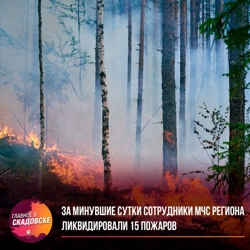 �� �������� ����� ���������� ��� ������� ������������� 15 �������