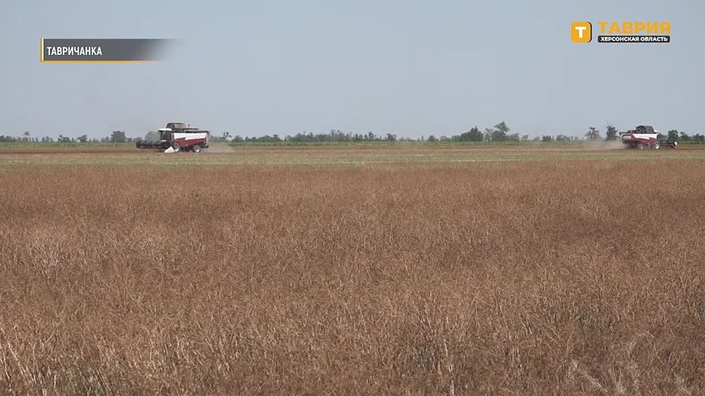 ������ � ���������� ������� ���� � ��� ���� ��-�� ���������� ����