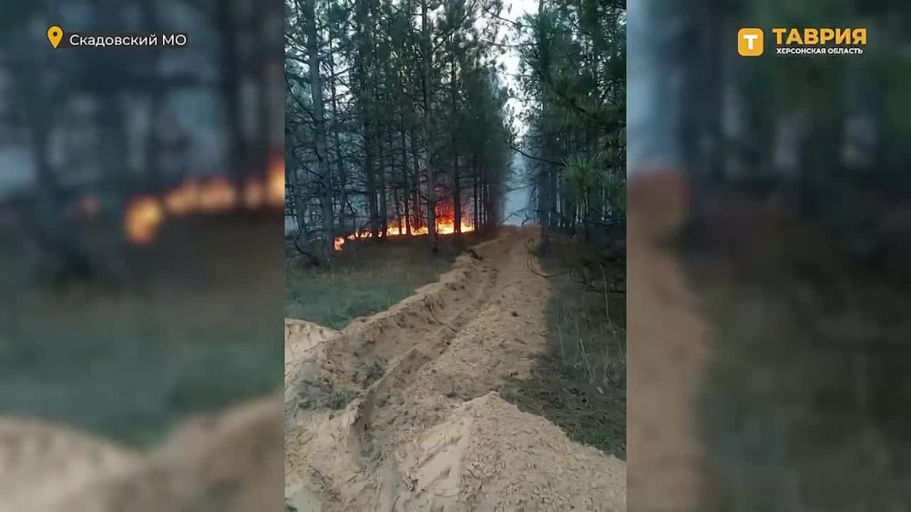 �� ���������� ����������� ��������������� ��������� �� ���� �������� 22 ������