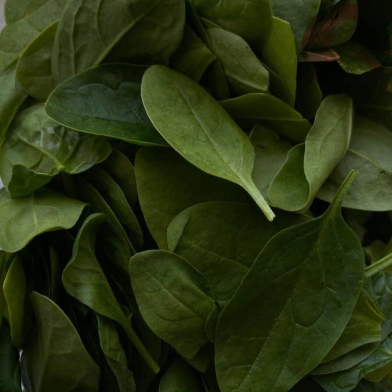 ������ �������. ������ ������� ����������� � ���������� ���� ���������� � ����������. �� ������� ��� �������� ��������������� �������� ��������� ���������� ��������� ������ �