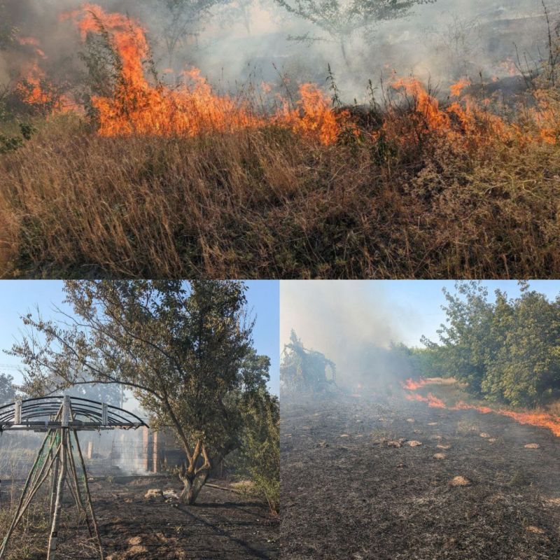 � ����� ������� �������� ������ ������ ������� � ��� ������������ � ���������� ����� �������� ���