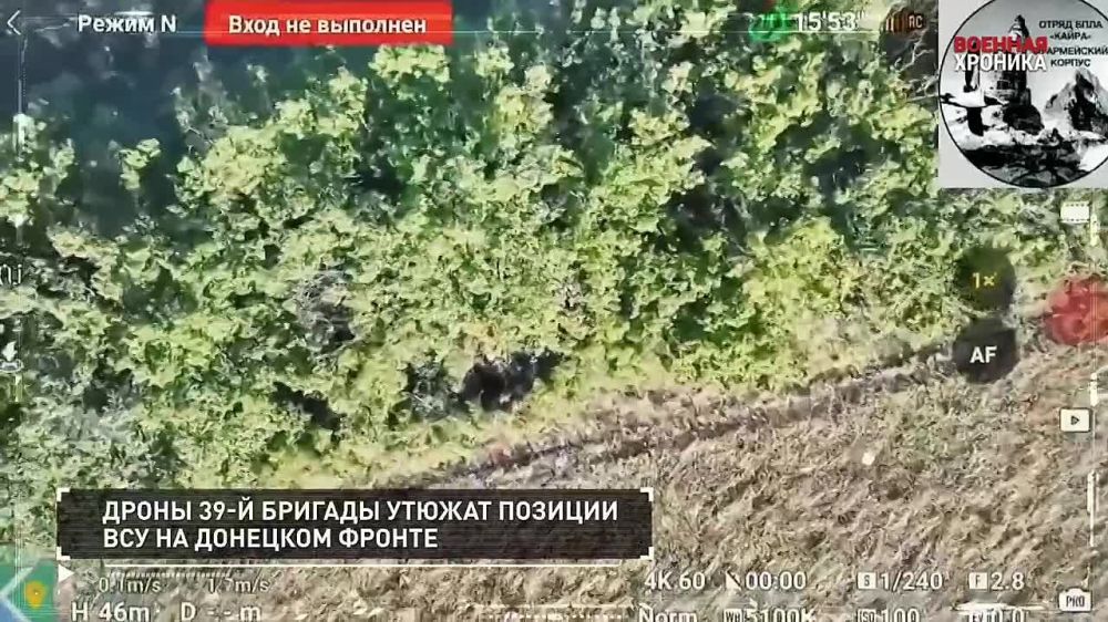 ����� �������� ��������� �� 15 ����