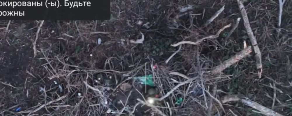 �������� �������������� ������ �� ��, ������� ��������� ��������� ������!