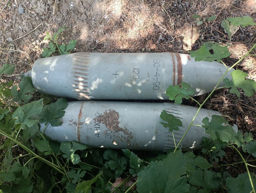 ����� ��������: ����� 33 ������� ���� ���������� �������� � ����� �����