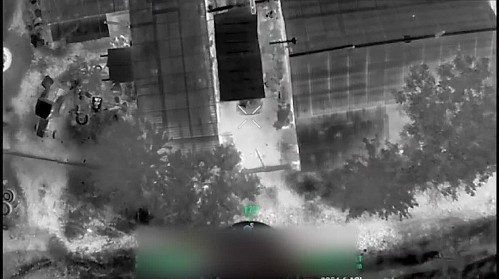 ���� �� �������: �������� ���������!. ����� � ����������� ������ ��������� ������������ ������� ��������. �������...