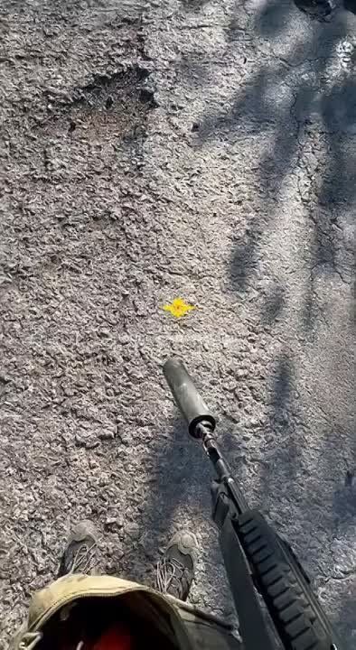 ������� ������ � ����.. �������� ������� ����������� "�����" ���������� ����� ������ ��������� �� ���������, �������� �� ��������� �������� ���������� �� ������ ����� �������