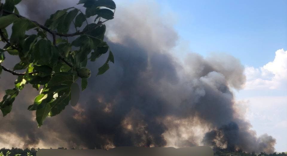 ����� �������. ��� �����