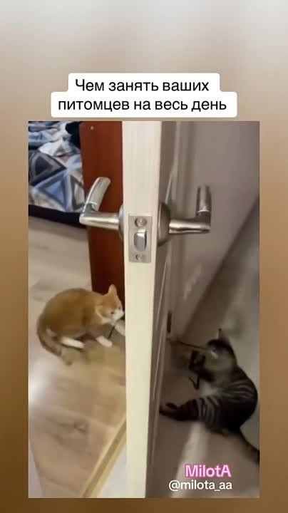 ���� ��� ���� ����)))). ���� �������� ���������� #������������