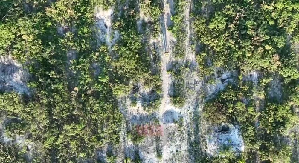 ���������� ���� ����� ���������� ��������