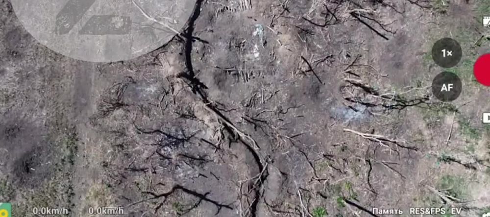 ���������� �������� ���� ������� ���� ���������� ������� ������� � �����