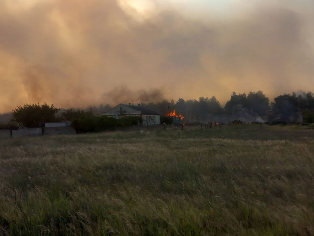 ����� ������������ �� ������� ���