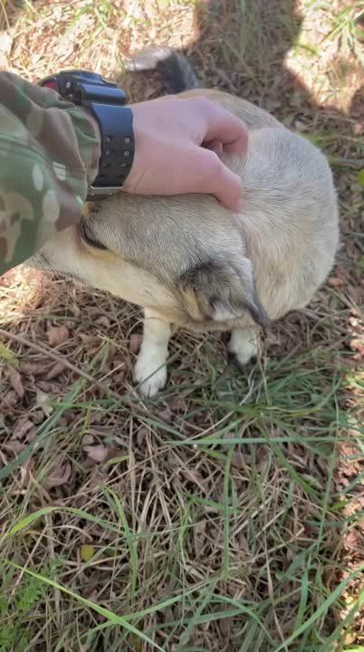 ���� �� �������: �� �������� ��� ��������� ����� ������������� ����!