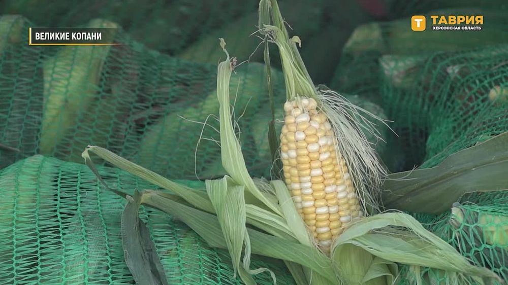 О главной торговой площадке для фермерских хозяйств Херсонщины рассказали журналисты "Таврии"